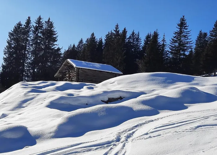 Kolmblick جيرلوس